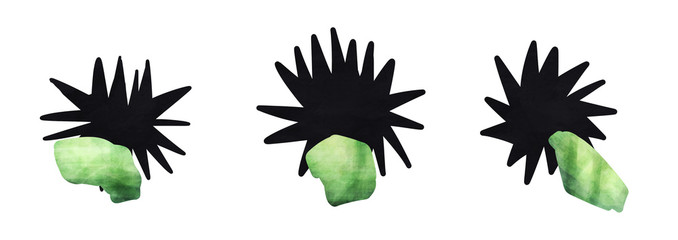 キャベツを食べるキャベツウニ