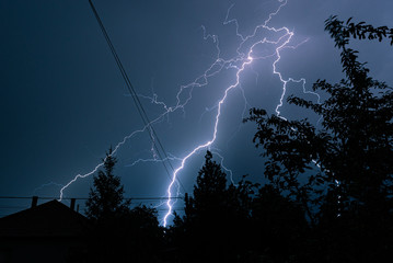 Naklejka na ściany i meble Long, branched, powerful lightning bolts strike down behind the trees