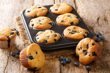 Delicate juicy blueberry muffins close-up in a baking dish on the table. horizontal