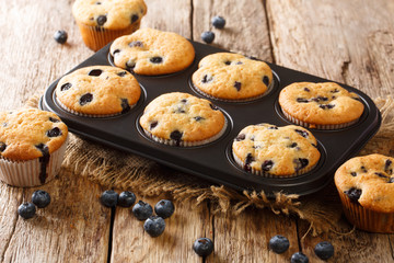 Obraz na płótnie Canvas Rustic blueberry muffins close-up in a baking dish on the table. horizontal