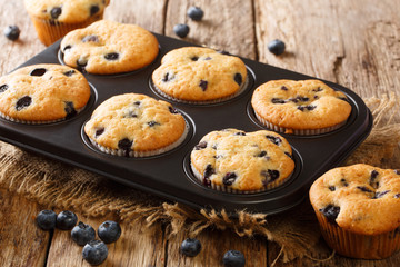 Healthy breakfast muffins with blueberries close-up in a baking dish on the table. horizontal