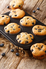 Diet berry muffins with blueberries close-up in a baking dish on the table. vertical