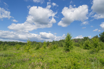 Fototapeta premium Landscape images of nature on a clear Sunny day near the village of Chekalino, Samara region