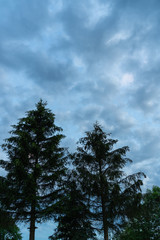 Fototapeta premium Landschaft im Sommer