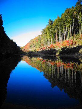 嵐山渓谷 Photos Royalty Free Images Graphics Vectors Videos Adobe Stock