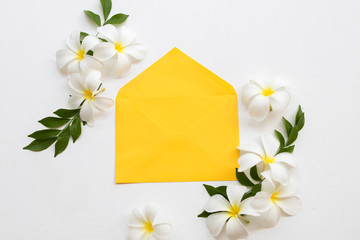 white flowers frangipani aroma flora local of asia arrangement flat lay postcard style in yellow envelope on background white wooden