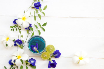 herbal healthy drinks  mix lemon and  flower butterfly pea blue hot beverage local flora of asia arrangement flat lay style on background white 