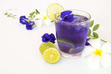 herbal healthy drinks  mix lemon and  flower butterfly pea purple cold cocktail water local flora of asia arrangement flat lay style on background white 