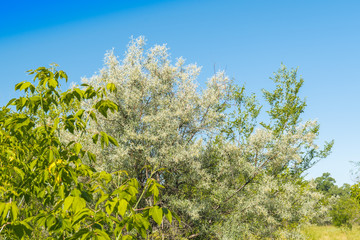 Landscape images of the surrounding area of the village of Racheika