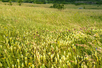 Landscape images of nature on a clear Sunny day near the village of Troitskoye, Samara region
