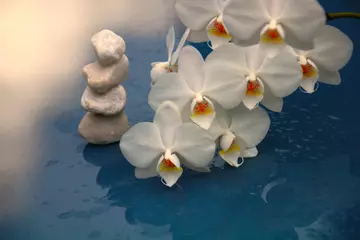 Gordijnen orchidee meditation © Christine