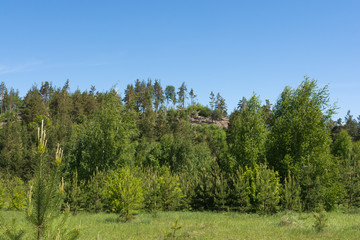 Obraz premium Landscape images of nature near the village of Cheremukhovo, Samara region