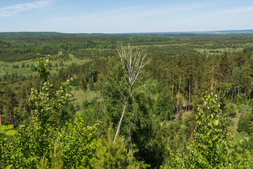 Fototapeta na wymiar Landscape images of nature near the village of Cheremukhovo, Samara region