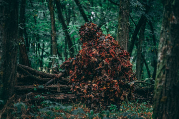 Fully covered sniper in a green forrest. Hiding behind a log. Air-soft, military, warfare. 