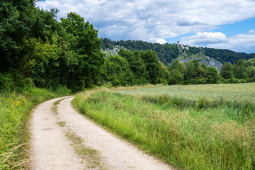 Fototapeta na wymiar Idyllic path in the Altmuehltal valley