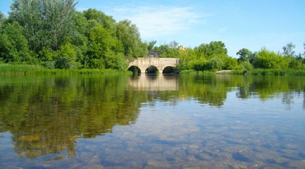 Obraz premium lake in the forest