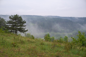 Landschaft im Sommer