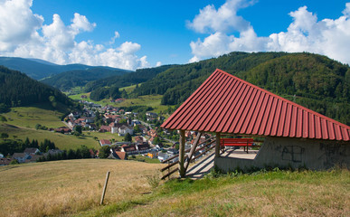 Fototapeta na wymiar Landschaft oberhalb von Mühlenbach im Kinzigtal im Schwarzwald
