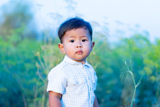 Asian little boy is looking at the camera in the grass field.