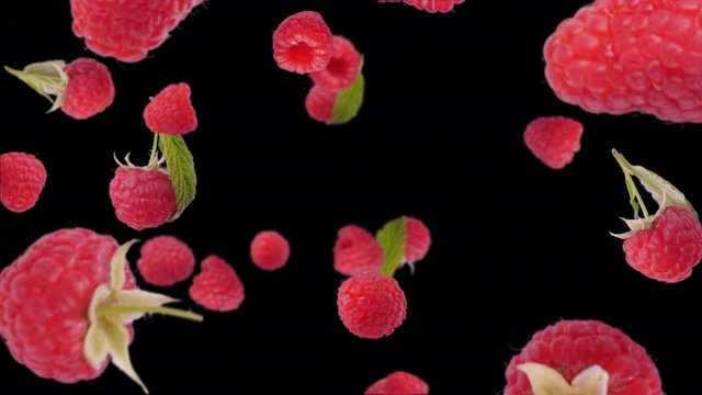 Raspberries collide and explode to produce a shower of juicy summer fruits flying and spinning - alpha channel included for compositing projects