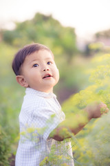 Asian little boy caught flowers looking at the camera in the grass field