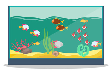 Aquarium, realistic aquarium with fish isolated on white background. Vector, cartoon illustration. Vector.