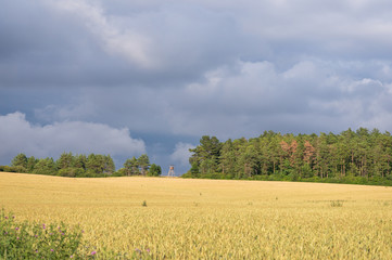 Landschaft im Sommer