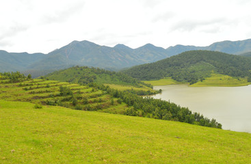 Fototapeta na wymiar misty valley in Emerald Nilgiris
