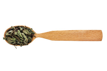 Dried Melissa officinalis in a wooden spoon on a white background. Phytotherapy and disease prevention. Herbal collection for medicinal tinctures. Herbal tea in folk medicine. The view from the top