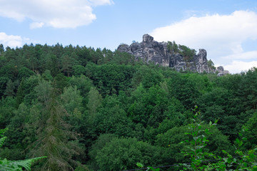 blue sky, rocky mountains and dense forest