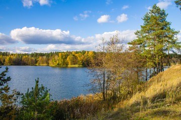 autumn in the forest
