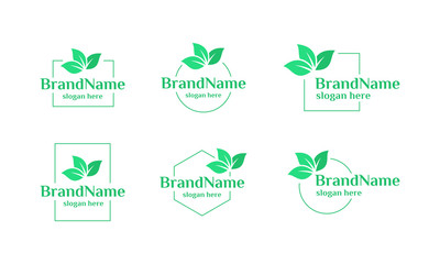 Botanical logo design vector