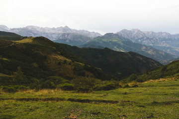 Fototapeta na wymiar View the mountains of the Picos de Europa of Asturias in the afternoon from the Llesba lookout