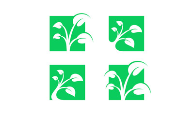 Modern Plant logo design vector