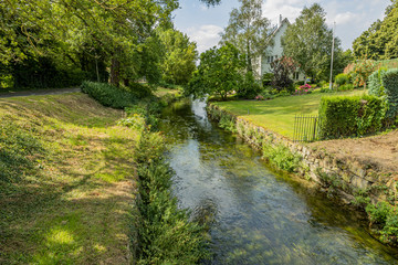 Fototapeta na wymiar Jeker river with crystal clear water among green grass, trees, green vegetation and back gardens of houses, sunny summer day with blue sky in Maastricht, South Limburg, Netherlands