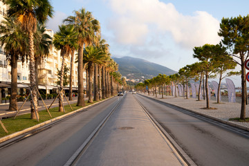 Fototapeta na wymiar Asphalt road surrounded by palm trees in the resort town