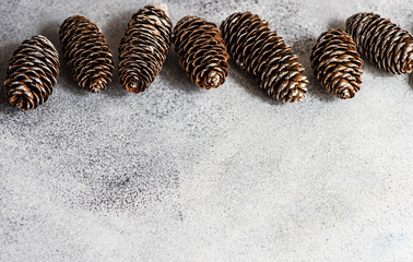Pine tree cones on concrete background