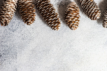 Pine tree cones on concrete background