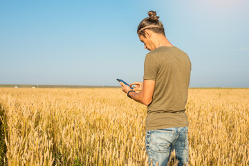 A young modern man is using a smartphone among golden spikelets of ripe wheat in a field