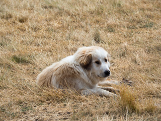 LES GORGES DU VERDON