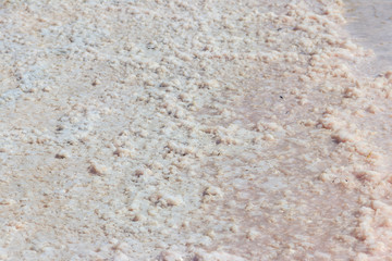 Natural salt crystal texture, macro, close-up. Salty lake shore background