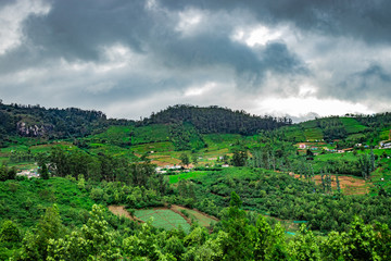 Fototapeta na wymiar mountains covered with tea gardens and green forests