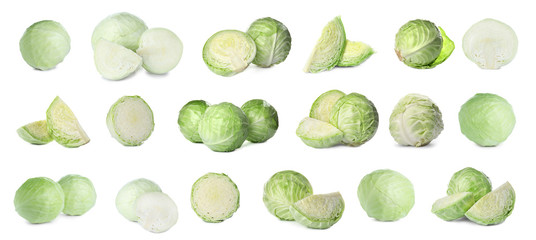 Set of fresh ripe cabbages isolated on white background. Banner design