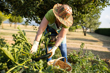 senior woman working in garden