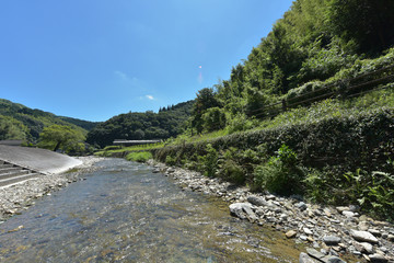 涼しい真夏の清流
