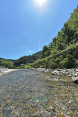 涼しい真夏の清流