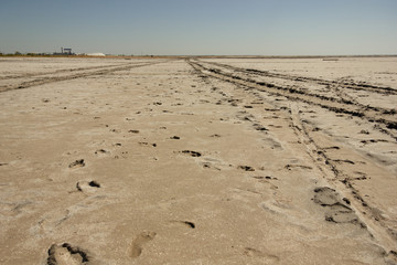 Close-up of sand on the beach of the salty pink lake Bursol (Altai Territory).
