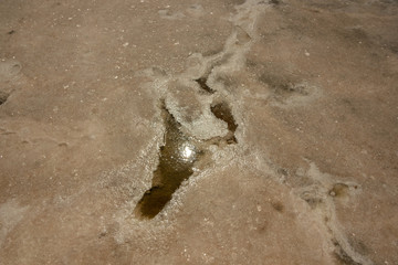 Close-up of sand on the beach of the salty pink lake Bursol (Altai Territory).