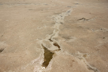Close-up of sand on the beach of the salty pink lake Bursol (Altai Territory).
