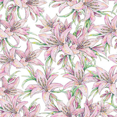 Pink lily flowers isolated on white background. Watercolor handwork illustration. Draw of blooming lily. Seamless pattern for design